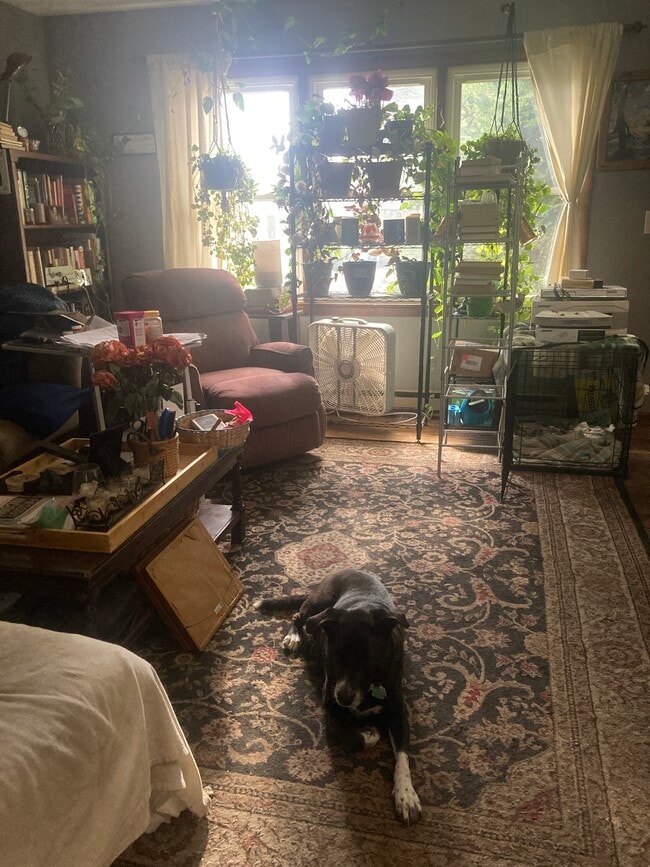 Photo - 6 Boynton Dr