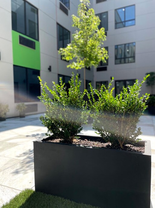 Arbol by Gomes Apartments Seton Hall University OffCampus Housing