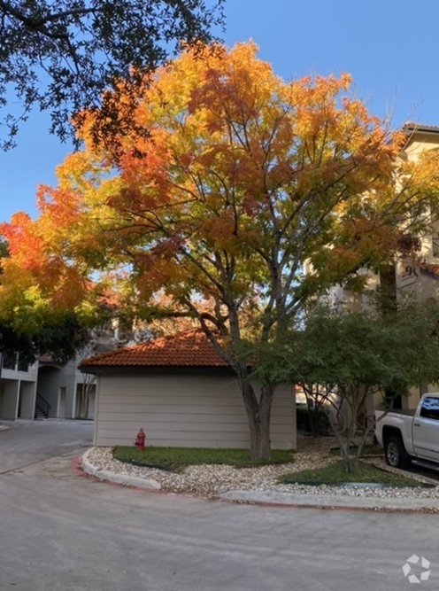 Building Photo - 9525 N Capital Of Texas Hwy Unit 333 Rental