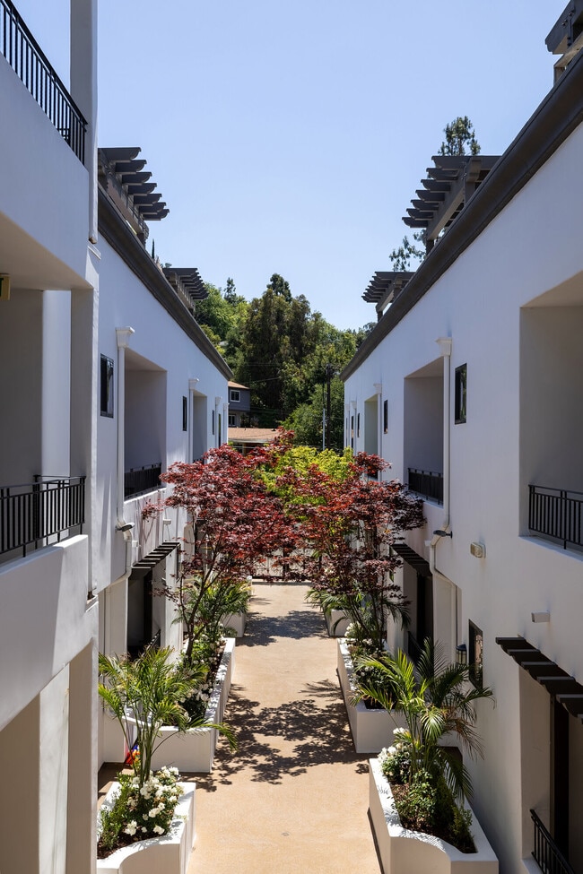 Vista Paradiso