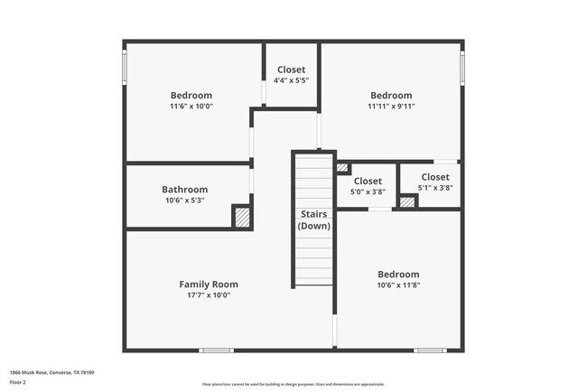 Photo - 1866 Musk Rose