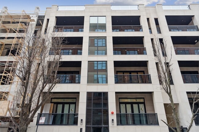 Building Photo - 232 S Green St Unit 4S Rental