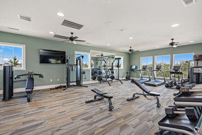 Fitness
