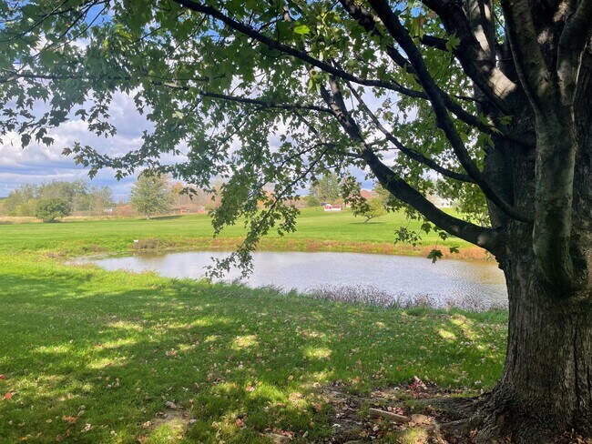 Pond view - 7957 Bethel Rd
