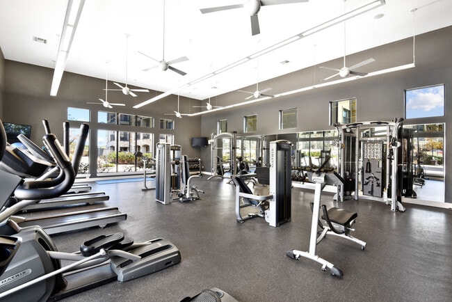 Agora Stone Oak apartments — community photo