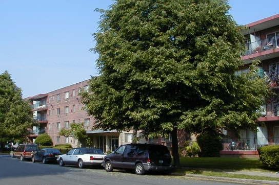 Beechwood Gardens - Beechwood Gardens