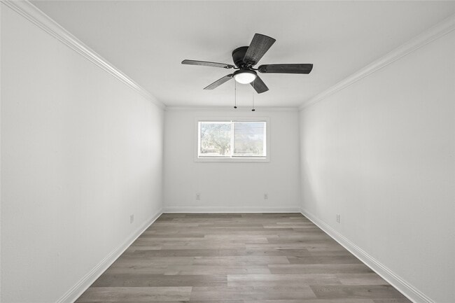 Photo - 205 Raymond St