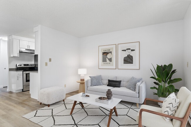 Living Room and Kitchen