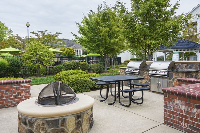 Barbecue and Fire Pit