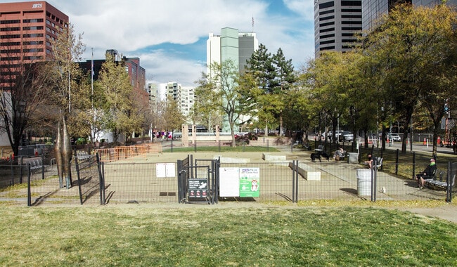 Can't make it to the mountains for a hike? The city dog park is the perfect place for your furry friend to stretch their legs