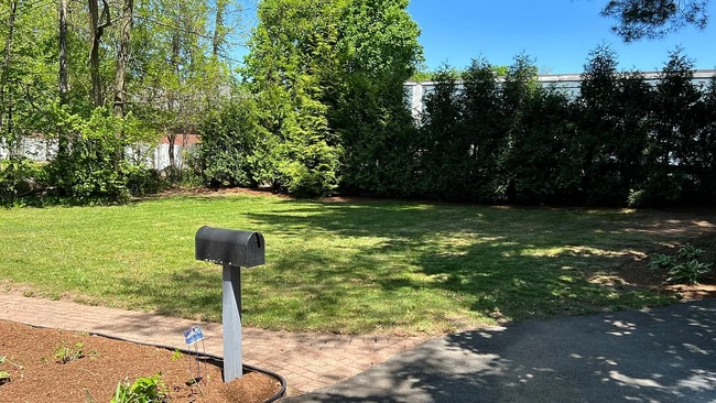 Front lawn - 102 Main St