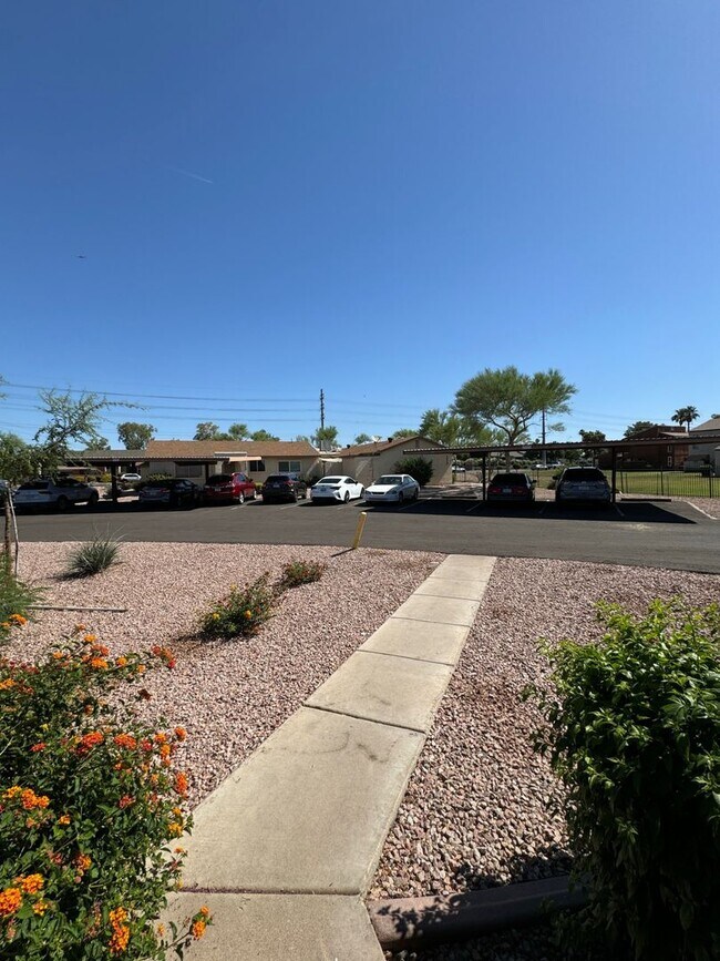 Tempe townhome at 101/University House Rental in Tempe, AZ