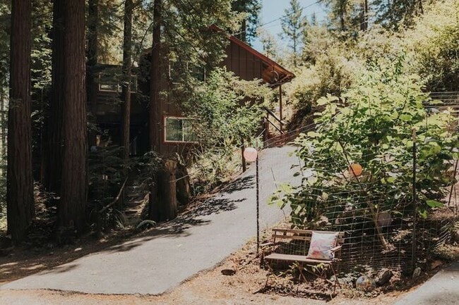 Building Photo - Sunlit Sanctuary in the Redwoods Rental