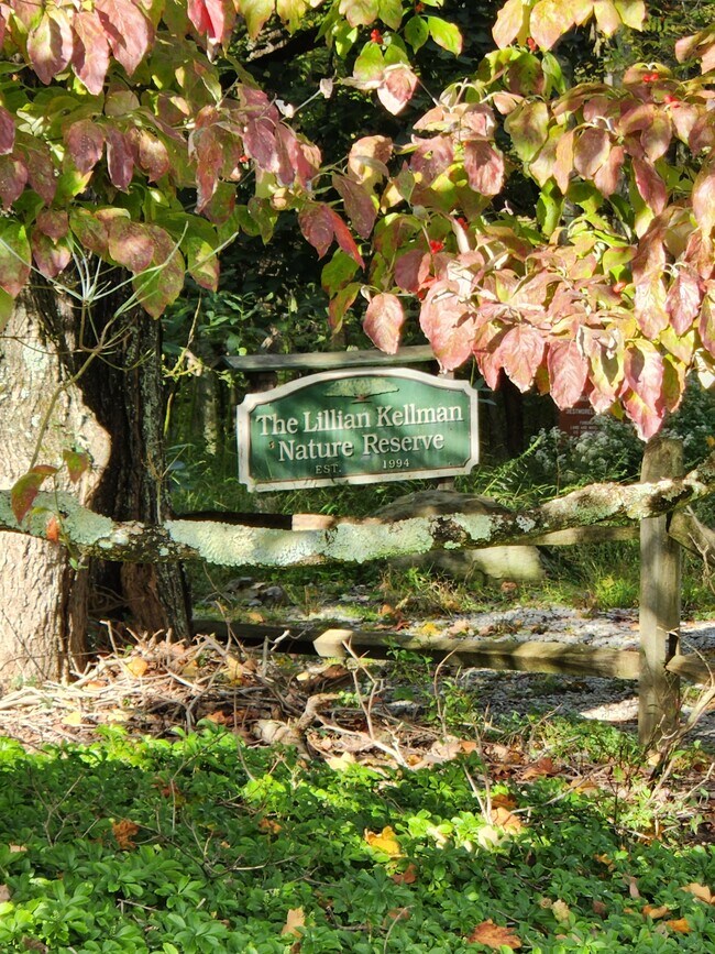 Photo - 3484 Woodland Dr