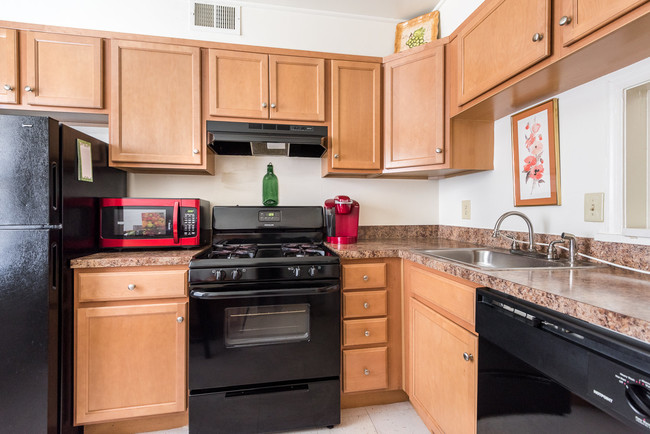 Building Photo - Williamsburg Park Rental