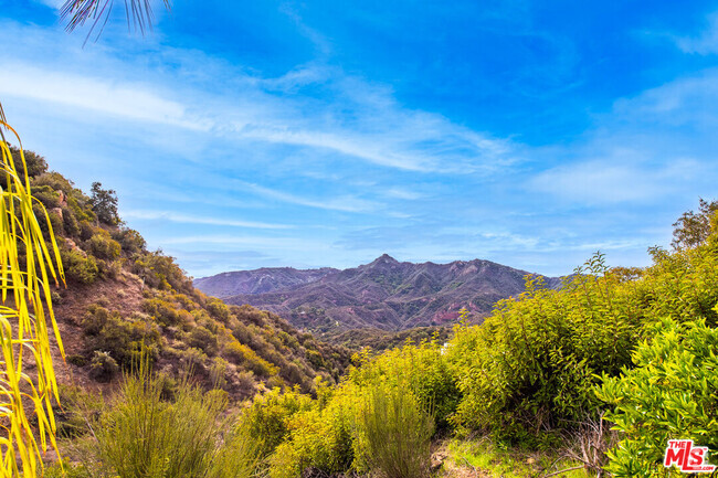 Building Photo - 2529 Topanga Skyline Dr Rental