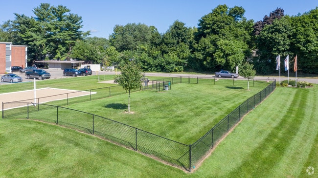 Dog Park