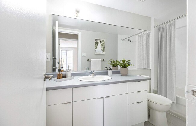 Photo - Alexander Park