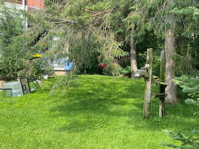 Patio interior