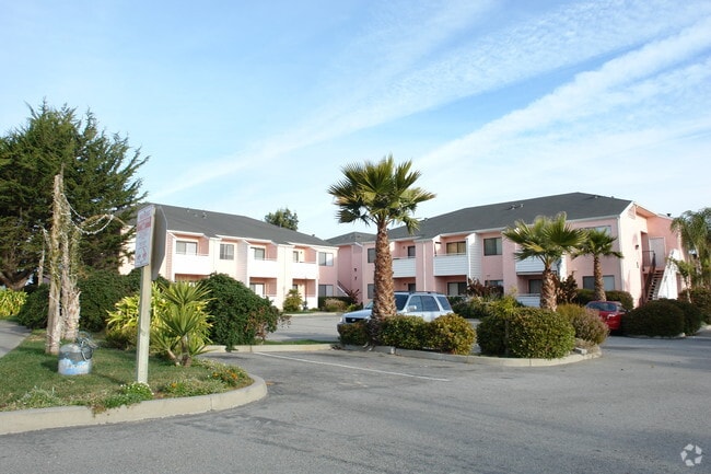 Building Photo - Marina Beach Apartments