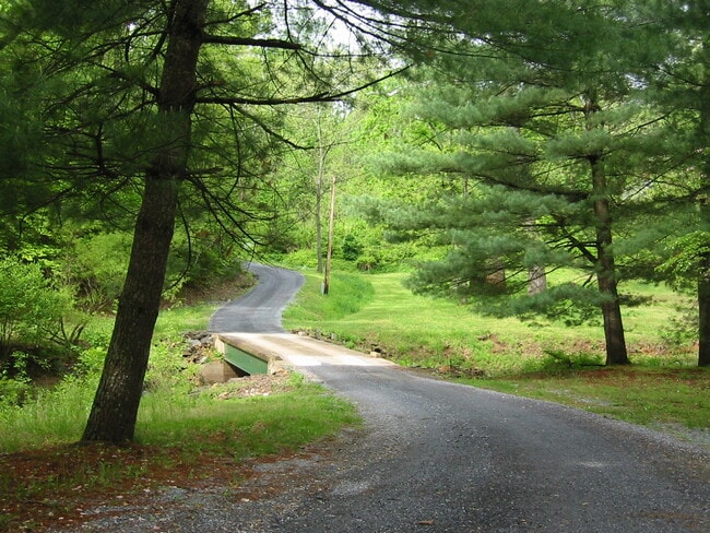 Only a mile off of U.S. 29, the entrance to our property is beautiful! - 391 High Peak Rd House Unit 391 A