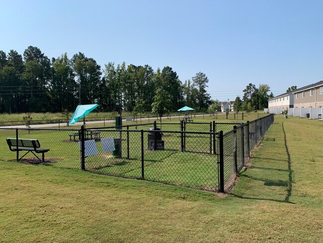 Dog park
