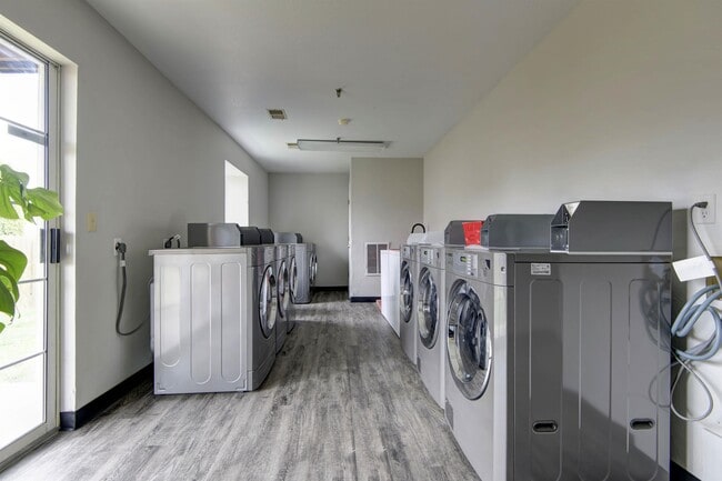 Building Photo - 3440 E Lombard St Unit 114 Rental