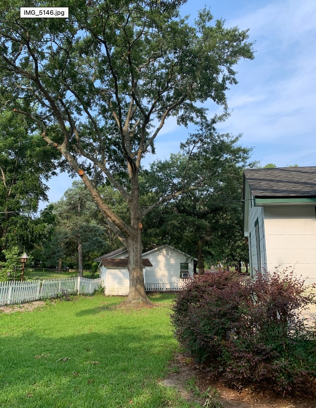 Photo - 709 Collins St