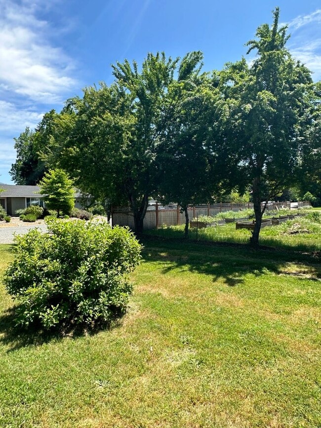 Photo - 3BED 1.5BATH - BONUS ROOM, LARGE YARD, WASHER/DRYER HOOKUP, DRIVEWAY PARKING