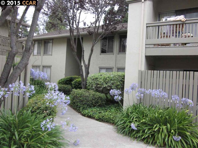 Photo - 2 Bed 2 Bath Condo In Walnut Creek Unit 158