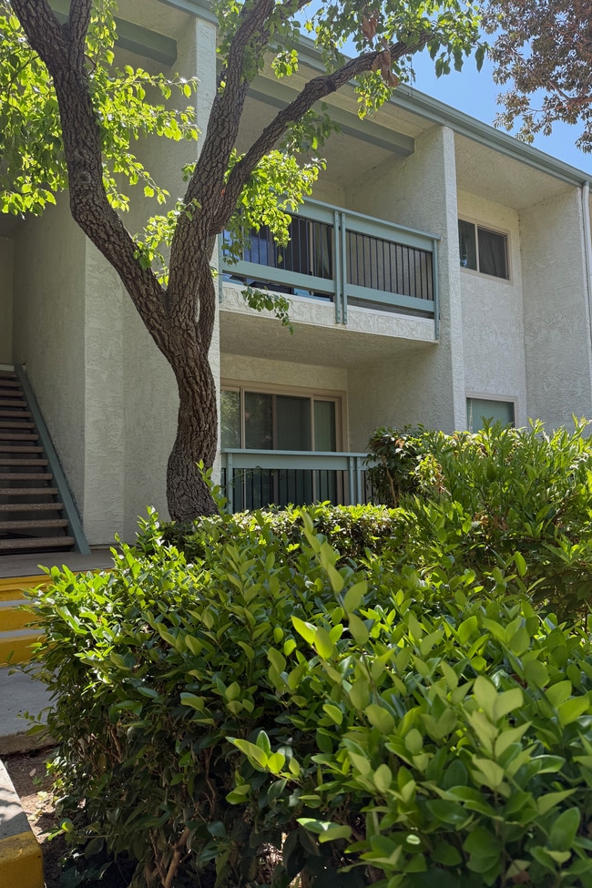 Building Photo - 23671 Park Capri Unit 46 Rental