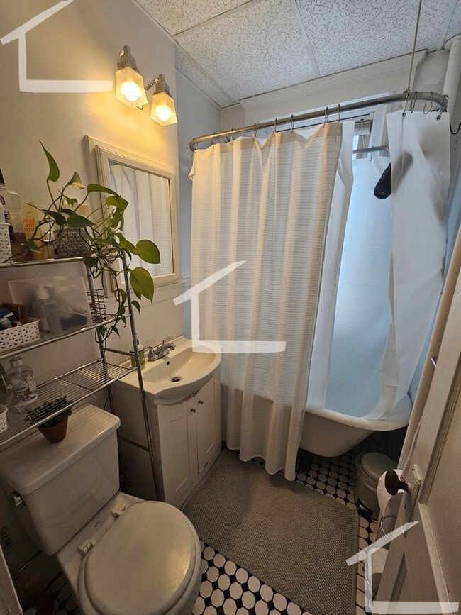 Photo - Unique Brookline Border Apt. No fee!