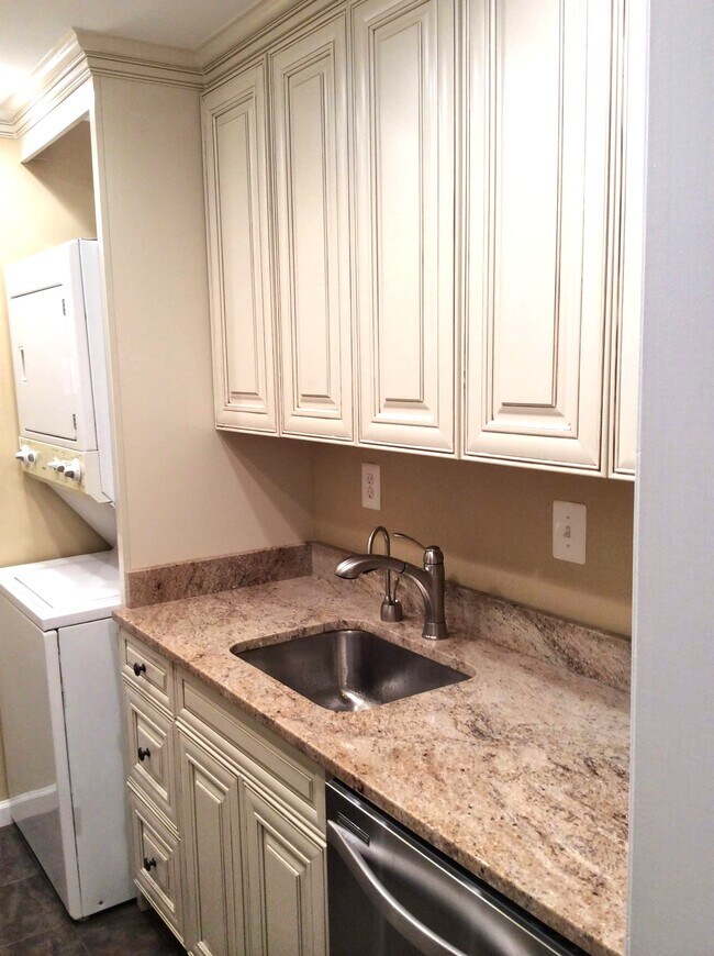 Granite Counter Tops - 236 Maryland Ave NE Unit Luxurious Cap Hill 1 BDRM