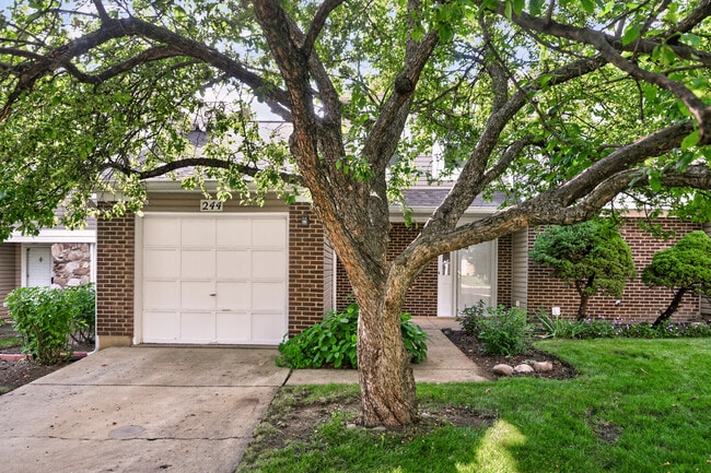 244 Coventry Ct