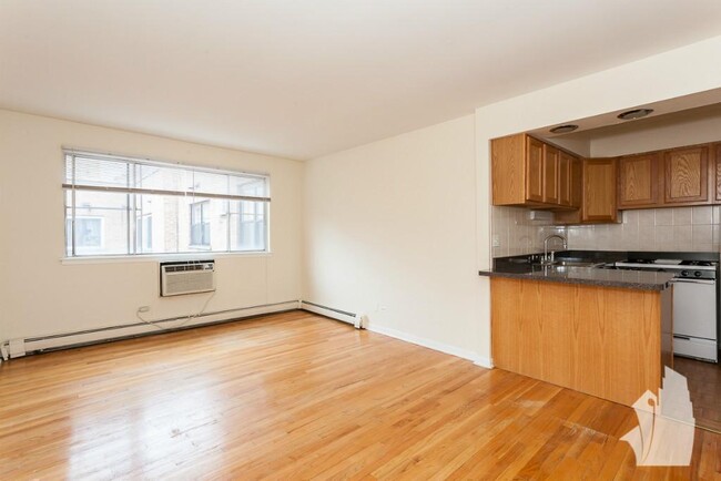 530 W Aldine Ave, Unit 514, Chicago, IL 60657 - 533 W Aldine Ave Apartment