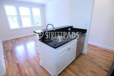 1 bedroom in Cambridge MA 02138 - 1 bedroom in Cambridge MA 02138 Rental