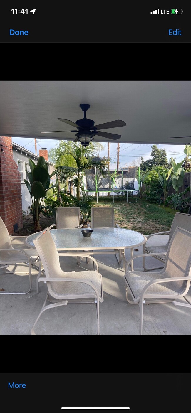 Backyard - 914 Oleander St