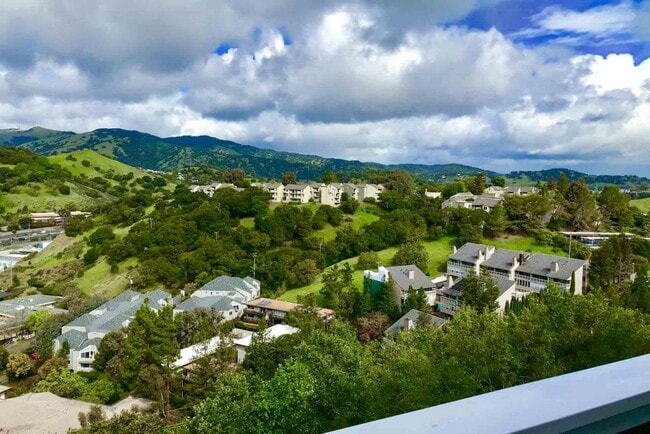 View from a 253 Deck