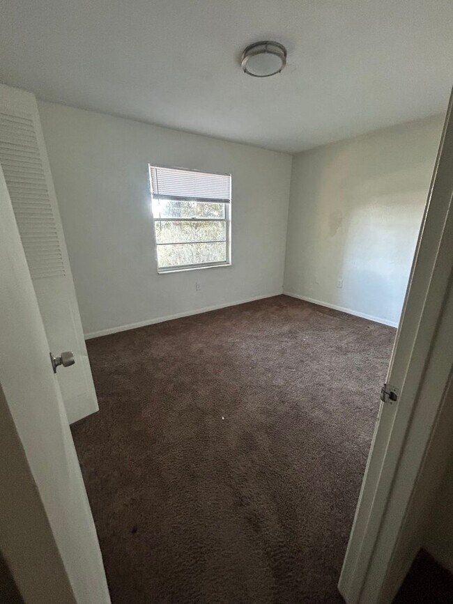 Photo - Available Now!