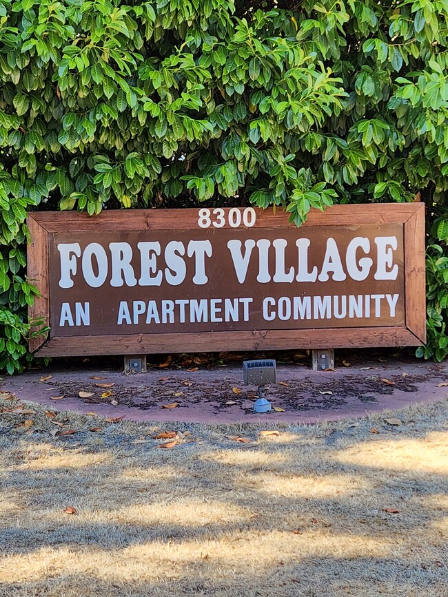 Forest Village - Forest Village Apartments