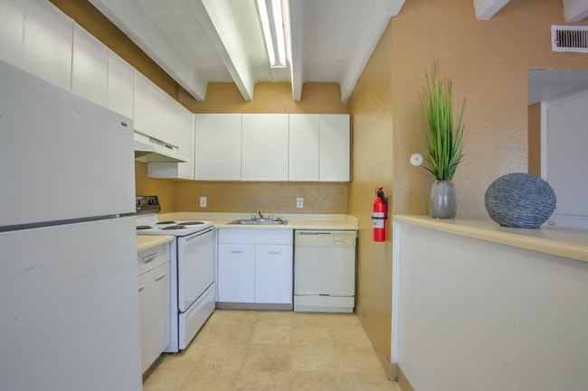 Open, Bright Kitchen