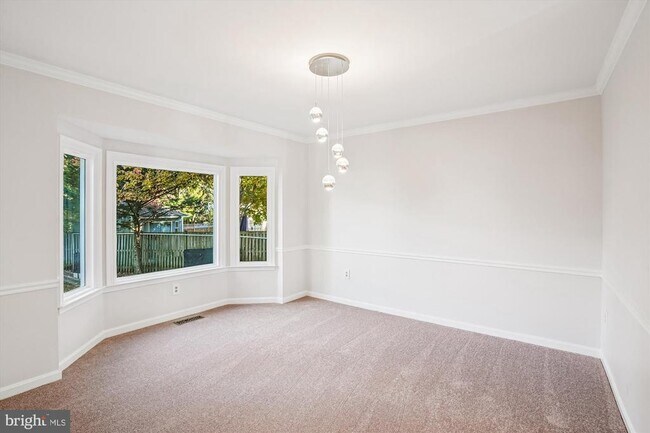 Photo - 8803 Black Alder Dr