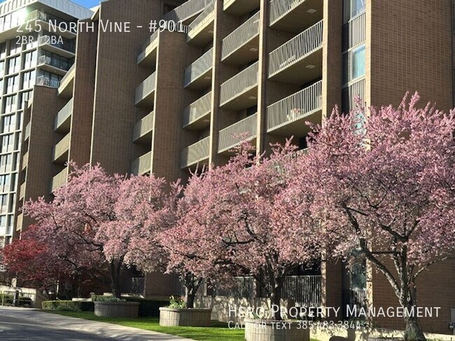 Photo - 245 North Vine-#901 Unit #901
