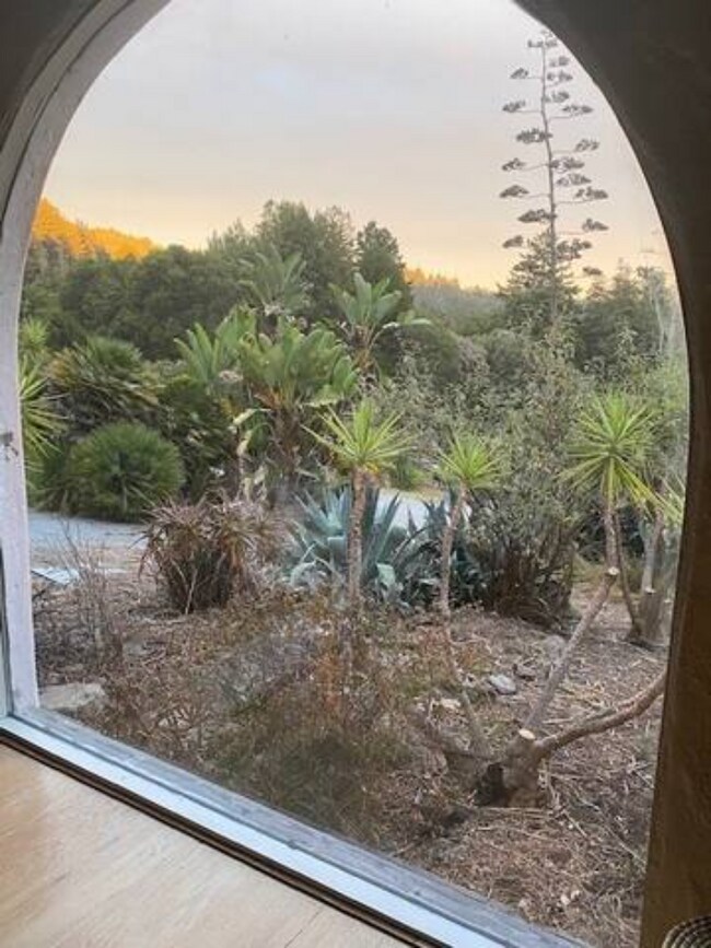 View from living room - 3333 Fern Flat Rd Unit Casita