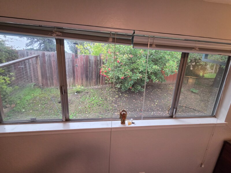 Photo - 4000 Cowell Rd