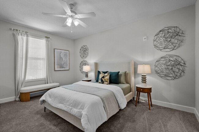New Tampa Palms
