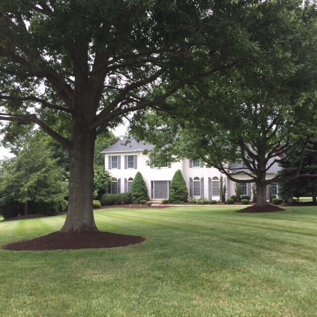 West Chester Home for Rent - West Chester Home for Rent