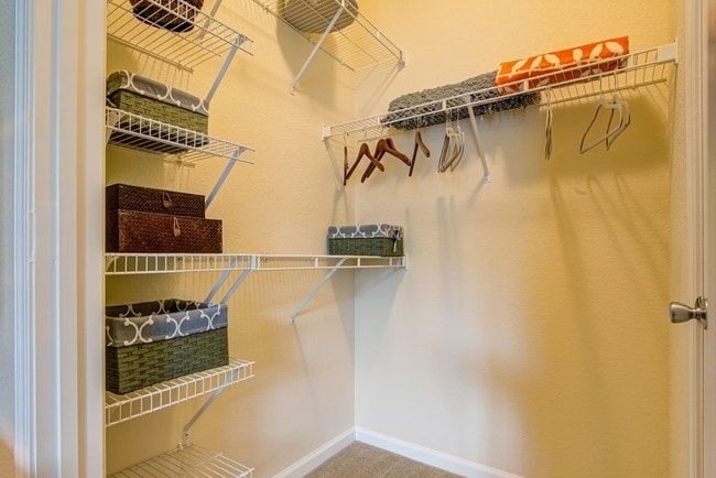 Preserve At Steele Creek Apartments