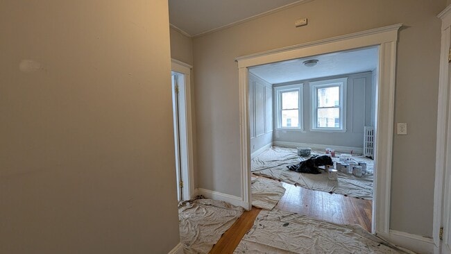 Building Photo - Bright, Spacious Allston 2-bed Near the T