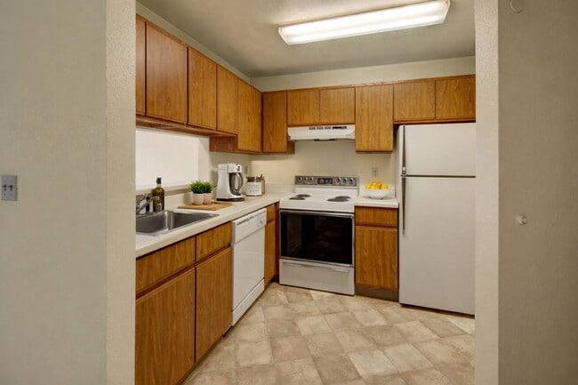 Photo - Susitna Ridge